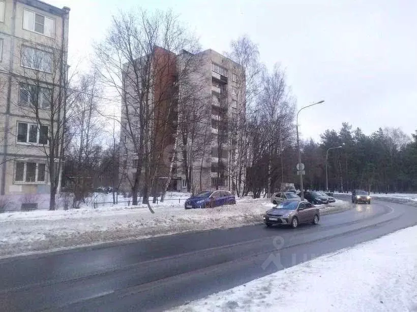 3-к кв. Санкт-Петербург ул. Верности, 30 (56.9 м) - Фото 1