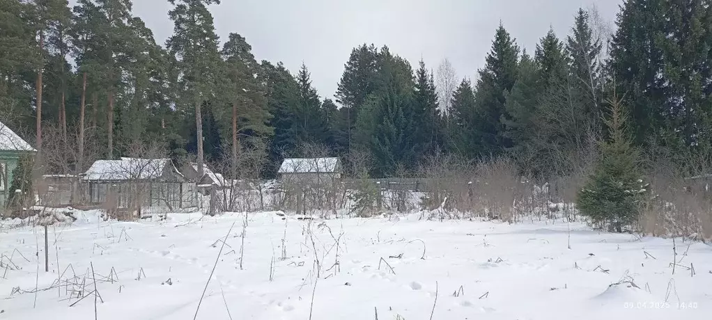 Участок в Тверская область, Калининский муниципальный округ, д. Труд  ... - Фото 2