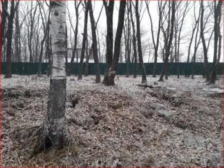 Участок в Приморский край, Владивосток Васильковая ул. (6.0 сот.) - Фото 1