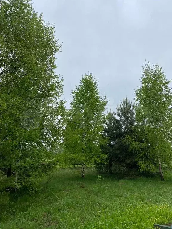 Участок 10 сот. (ИЖС) - Фото 0
