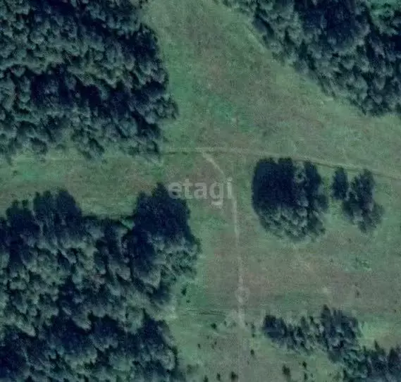 Участок в Новосибирская область, Коченевский район, Термист СНТ  (8.0 ... - Фото 0