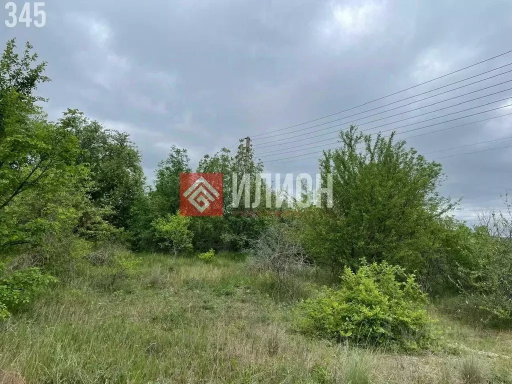 Участок в Крым, Феодосия муниципальный округ, Щебетовка пгт  (10.0 ... - Фото 2