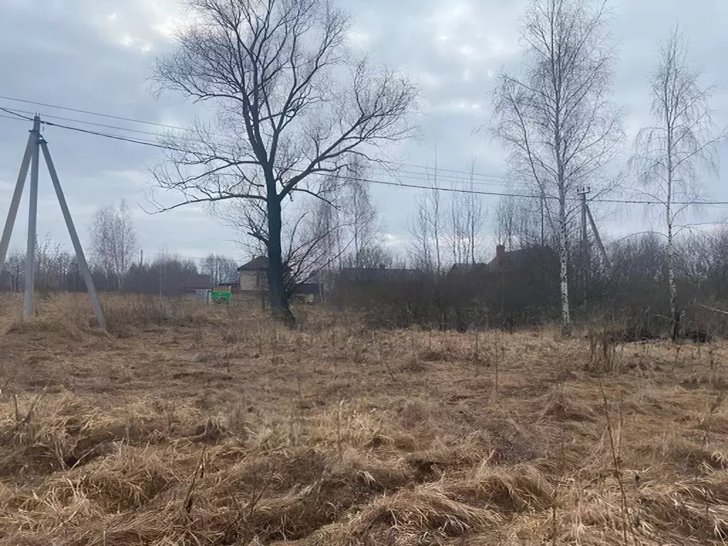 Участок в Московская область, Воскресенск городской округ, д. Золотово ... - Фото 1