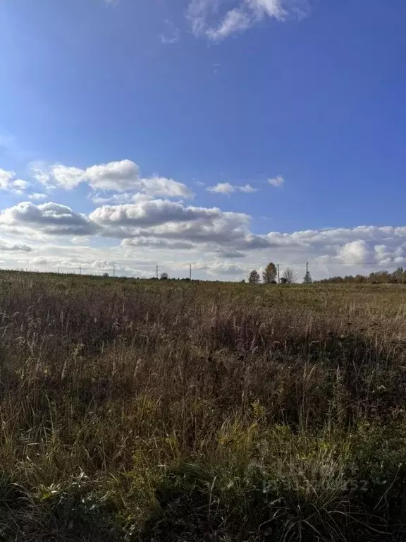 Участок в Московская область, Ступино городской округ, д. Авдотьино ... - Фото 0