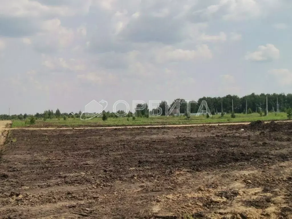 Участок в Тюменская область, Тюменский район, д. Елань  (10.0 сот.) - Фото 0