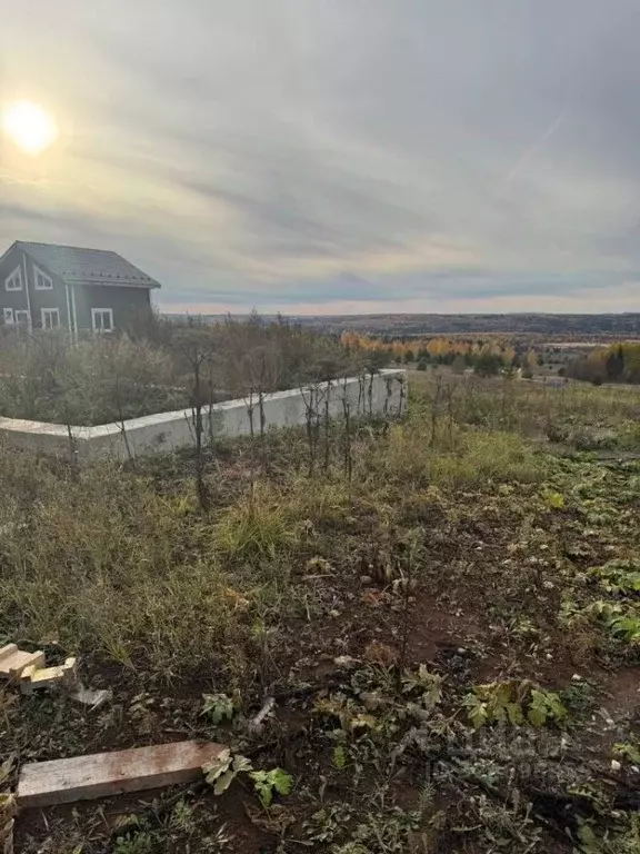 Участок в Пермский край, Пермский муниципальный округ, д. Большакино ... - Фото 2