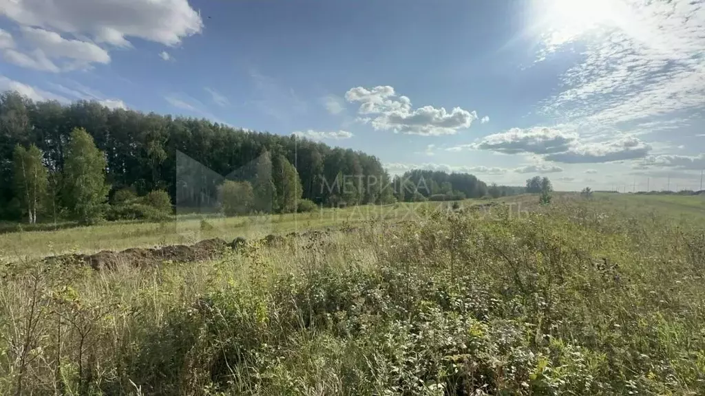 Участок в Тюменская область, с. Нижняя Тавда ул. Максима Горького ... - Фото 1