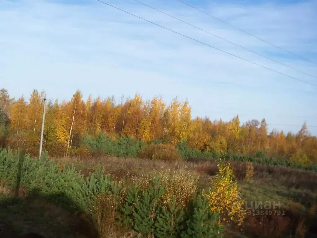 Участок в Псковская область, Гдовский район, Добручинская волость, д. ... - Фото 0