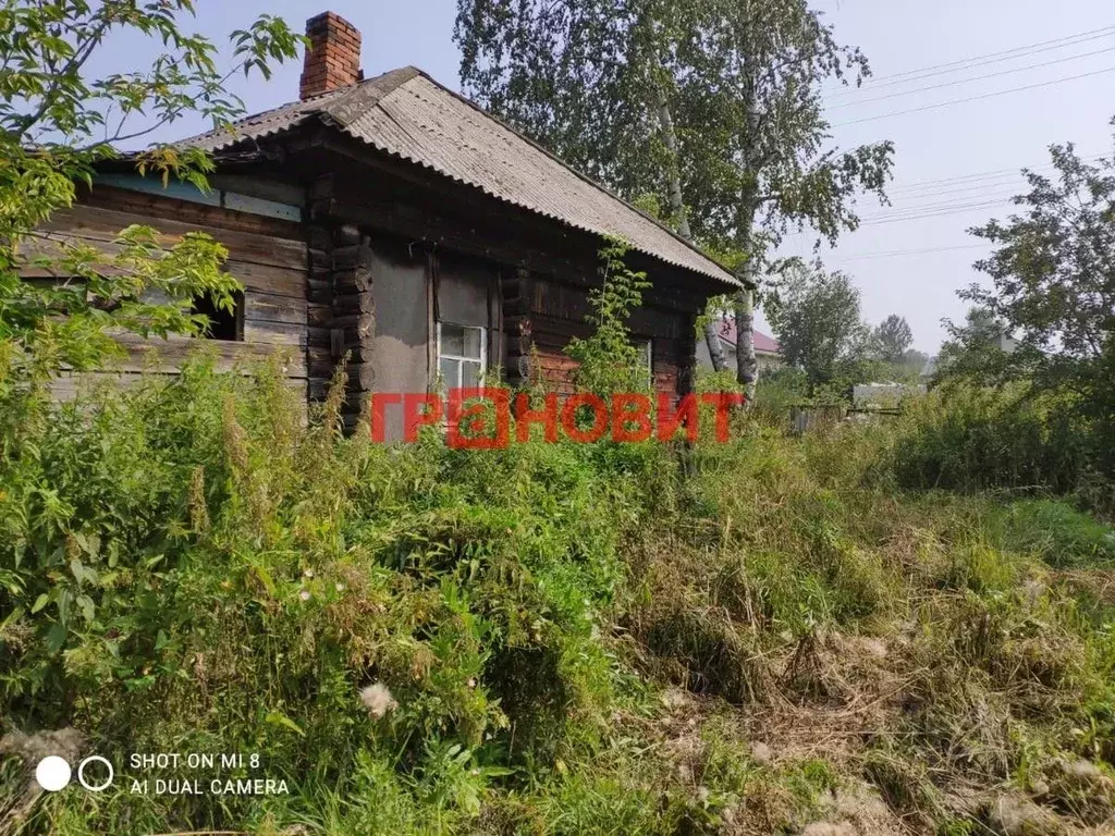 Участок в Новосибирская область, Новосибирский район, с. Барышево ул. ... - Фото 1