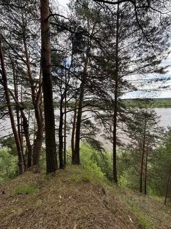 Участок в Кировская область, Орловское с/пос, д. Болдычи  (38.0 сот.) - Фото 1