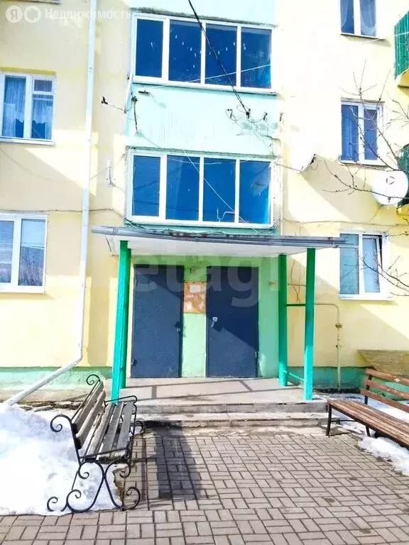 1-комнатная квартира: село Великомихайловка, улица Каховка, 73 (28.9 ... - Фото 1