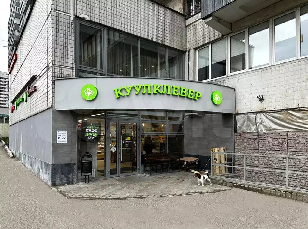 Помещение свободного назначения, 260кв.м - Фото 0