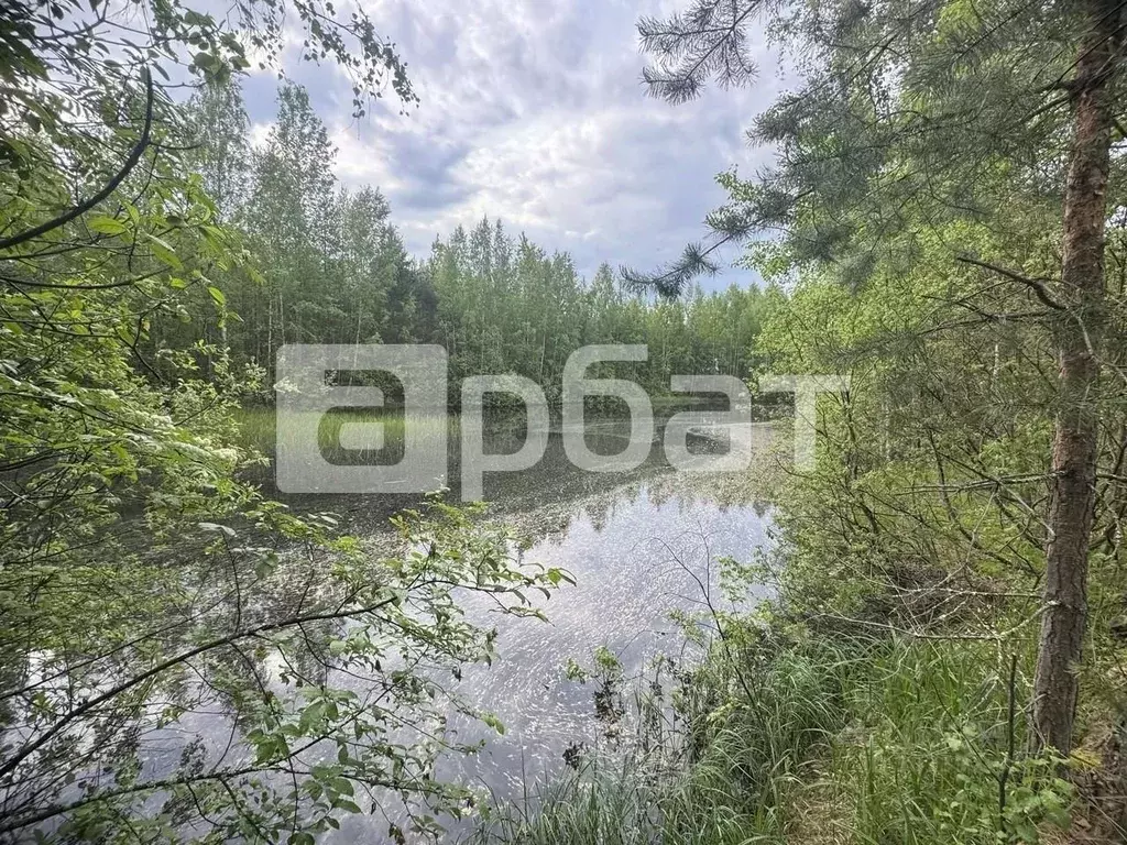 Помещение свободного назначения в Нижегородская область, Семенов ... - Фото 1