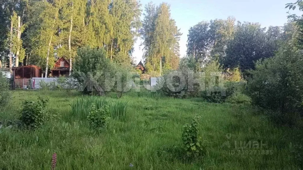 Дом в Новосибирская область, Новосибирск Конструктор СНТ,  (20 м) - Фото 0