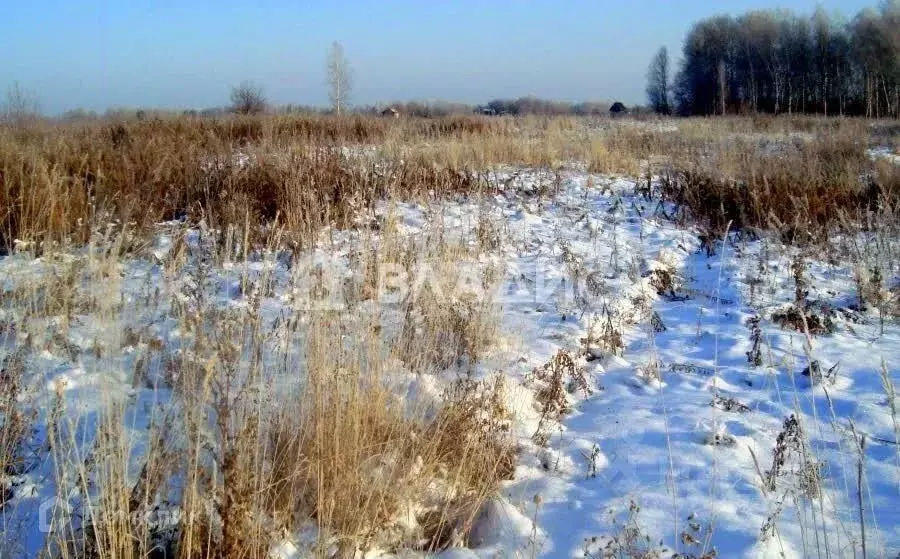 Участок в Московская область, Раменский муниципальный округ, д. ... - Фото 2