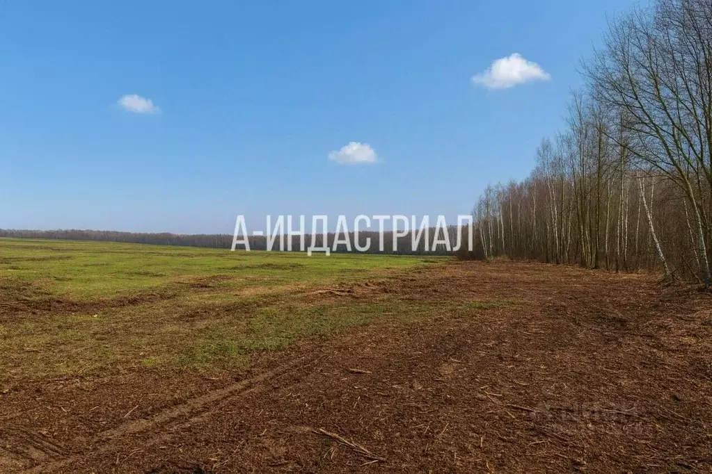 Участок в Московская область, Домодедово городской округ, д. Проводы ... - Фото 1