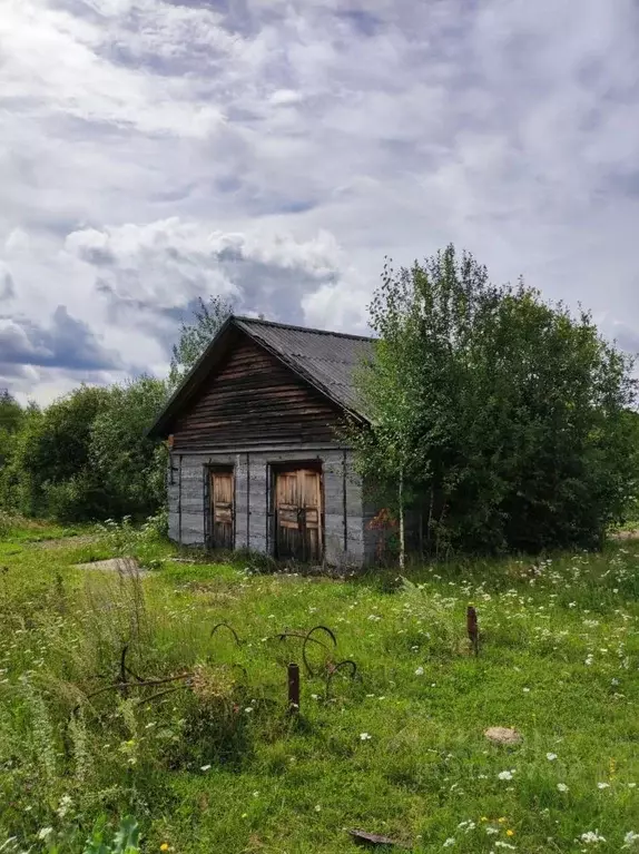 Помещение свободного назначения в Томская область, с. Парабель ул. ... - Фото 1