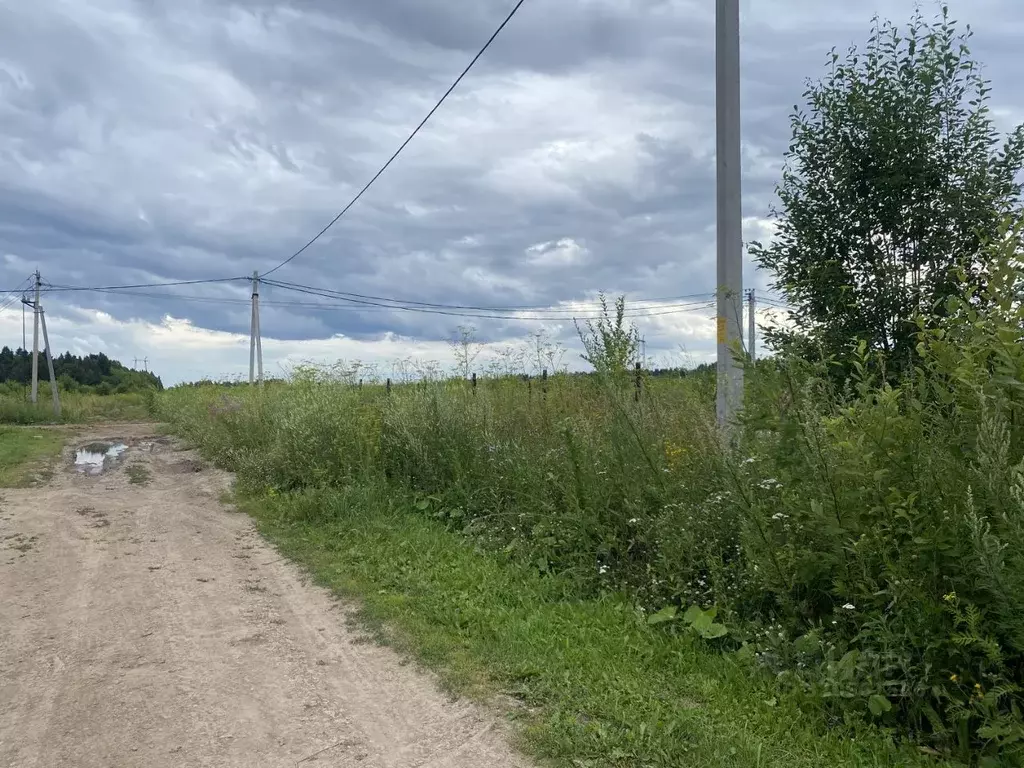 Участок в Пермский край, Пермский муниципальный округ, пос. Сылва ул. ... - Фото 2