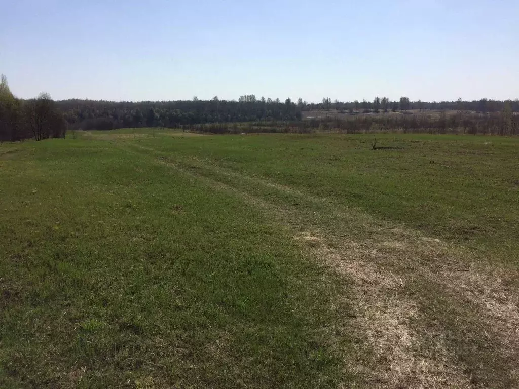 Участок в Тверская область, Калининский муниципальный округ, д. ... - Фото 2