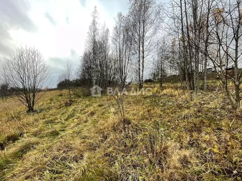 Участок в Ленинградская область, Всеволожский район, Бугровское ... - Фото 2