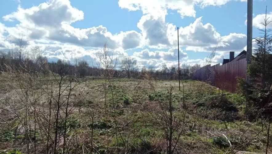 Участок в Московская область, Клин городской округ, д. Коноплино  ... - Фото 1