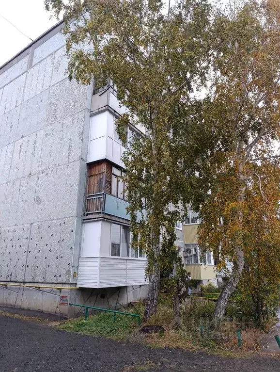 1-к кв. Омская область, Омский район, с. Лузино ул. Мира, 5 (33.7 м) - Фото 2