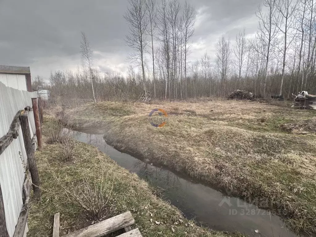 Дом в Новгородская область, Новгородский район, Трубичинское с/пос, ... - Фото 2