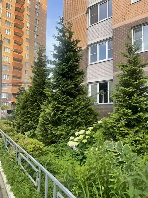 2-к кв. Московская область, Долгопрудный Хлебниково мкр, Госпитальная ... - Фото 2