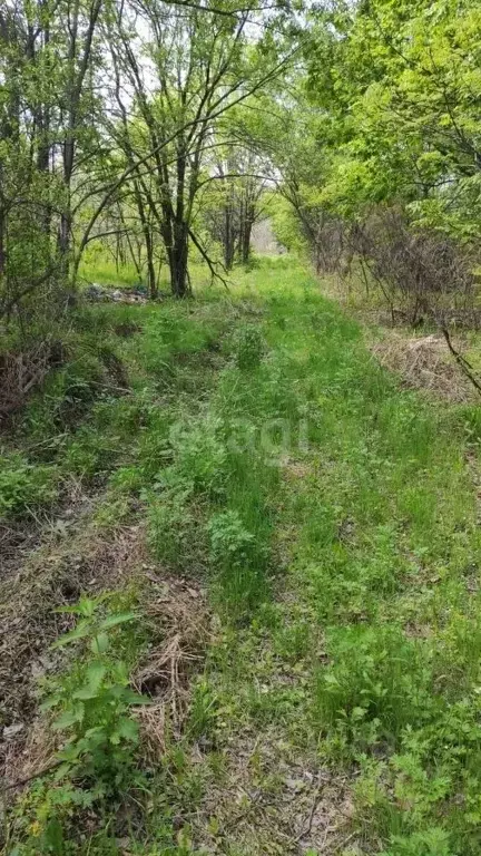 Участок в Хабаровский край, Хабаровск  (6.0 сот.) - Фото 2