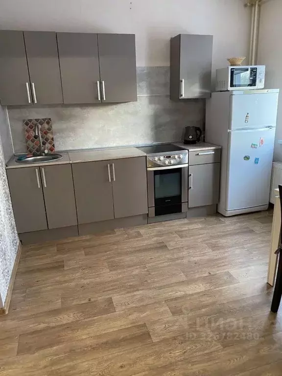 1-к кв. Челябинская область, Челябинский городской округ, пос. ... - Фото 2