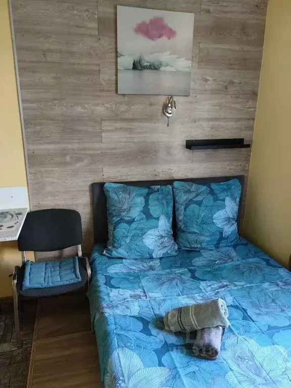 1-к кв. Московская область, Ленинский городской округ, д. Сапроново, ... - Фото 0