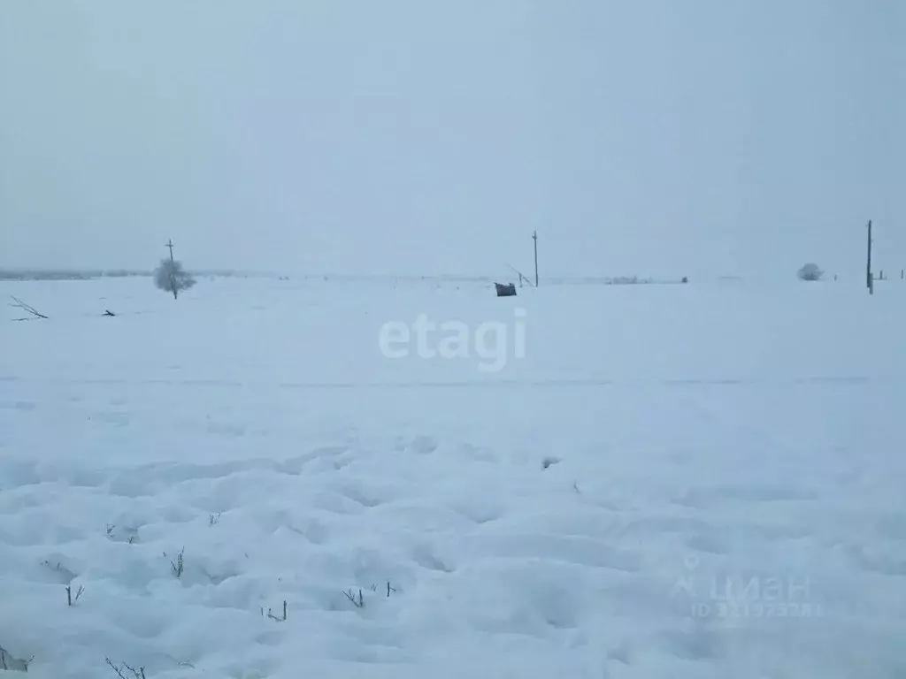 Участок в Бурятия, Иволгинский район, Гильбиринское с/пос, Хурамша у.  ... - Фото 0