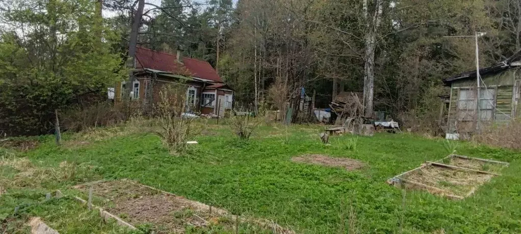 Участок в Ленинградская область, Всеволожский район, Сертоловское ... - Фото 0