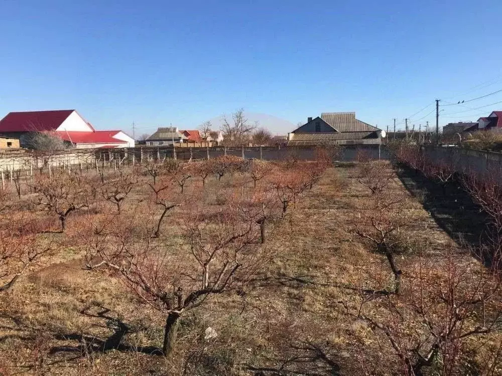 Участок в Крым, Сакский район, Лесновское с/пос, с. Владимировка ул. ... - Фото 2