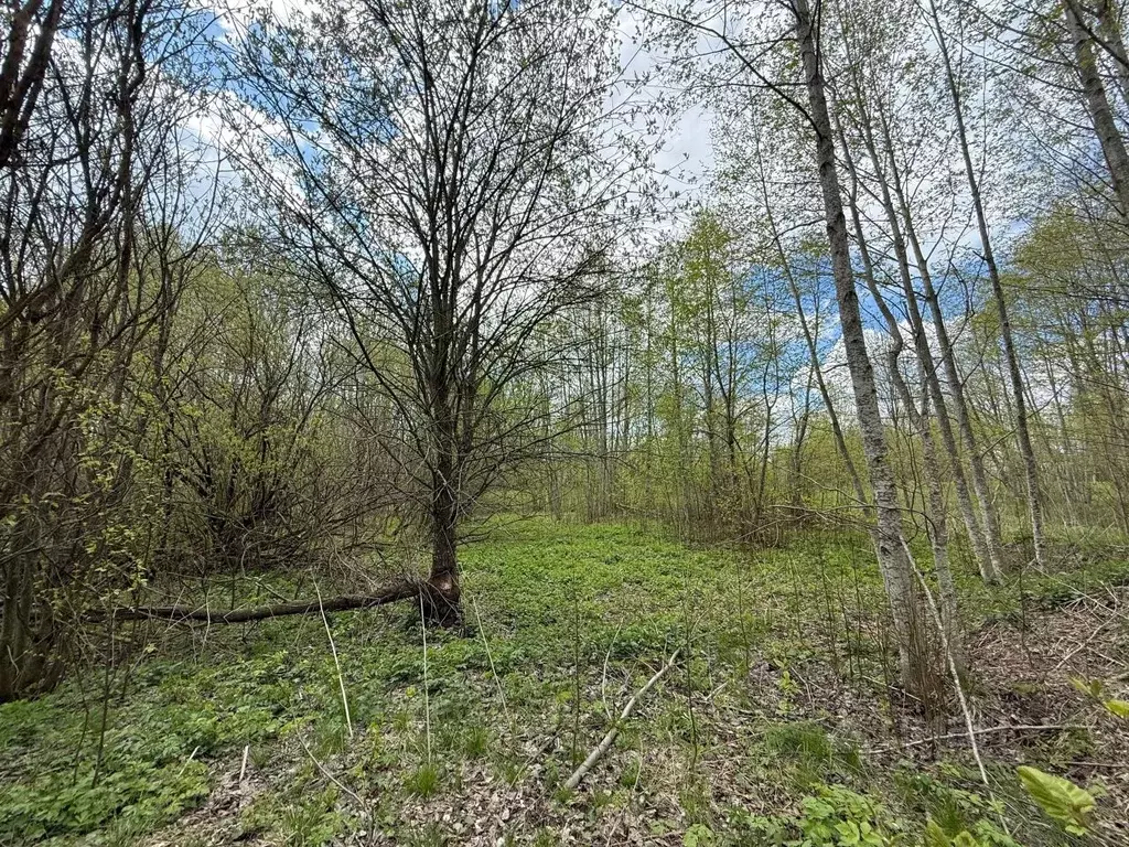 Участок в Тверская область, Селижаровский муниципальный округ, д. ... - Фото 1