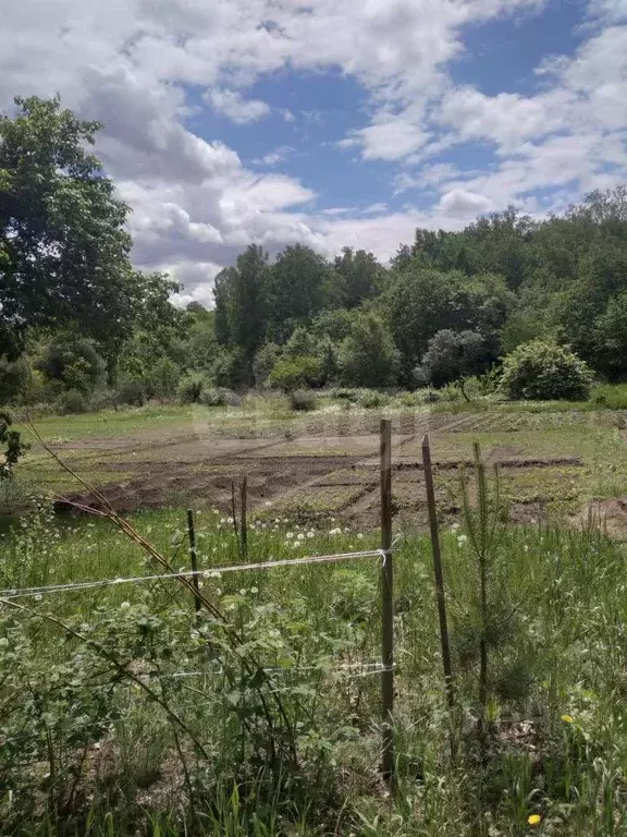 Участок в Амурская область, Благовещенский район, с. Чигири, Колос СТ  ... - Фото 1