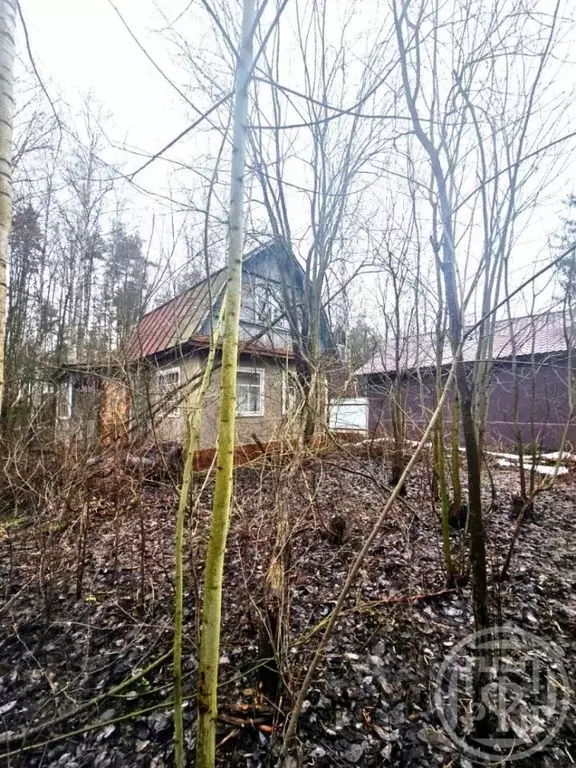 Участок в Ленинградская область, Всеволожский район, Свердловское ... - Фото 1