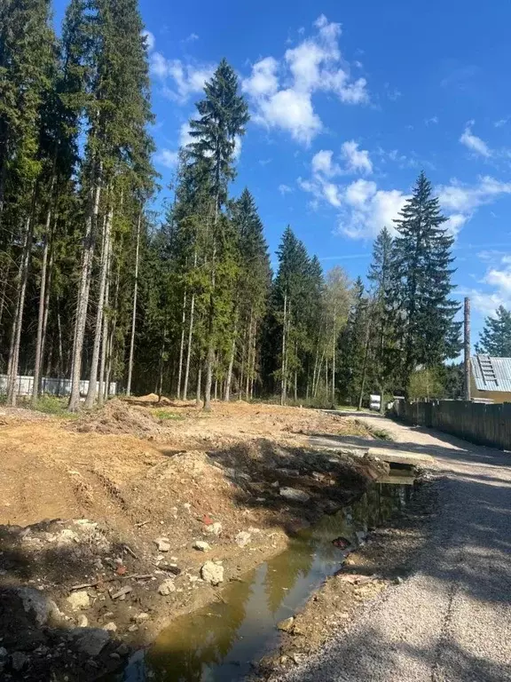 Участок в Московская область, Одинцовский городской округ, 30 лет ... - Фото 1