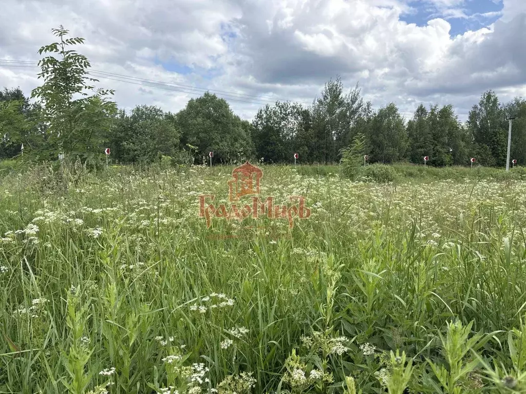 Участок в Московская область, Сергиево-Посадский городской округ, д. ... - Фото 1