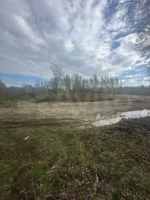 Участок 17,5 сот. (СНТ, ДНП) - Фото 1
