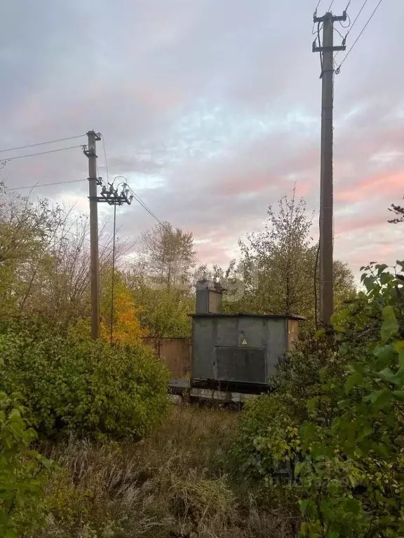 Производственное помещение в Воронежская область, с. Верхний Мамон ул. . - Фото 1