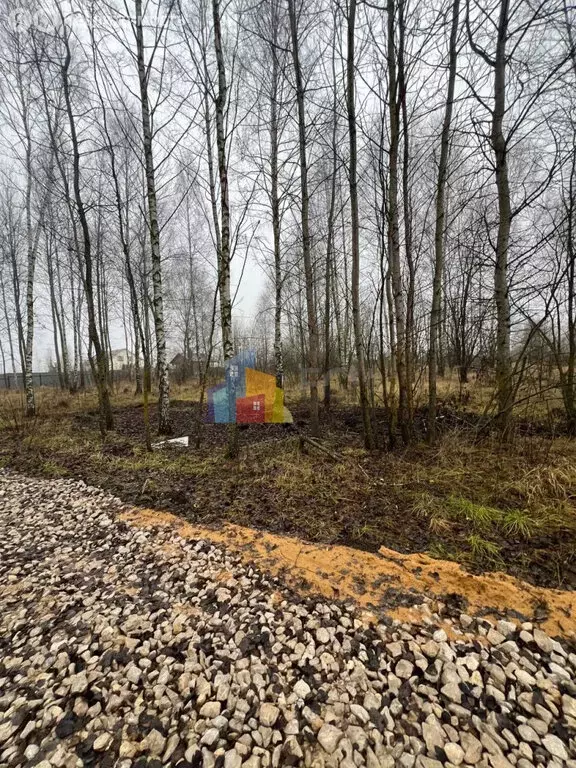 Участок в Щёкинский район, сельское поселение Яснополянское, деревня ... - Фото 2