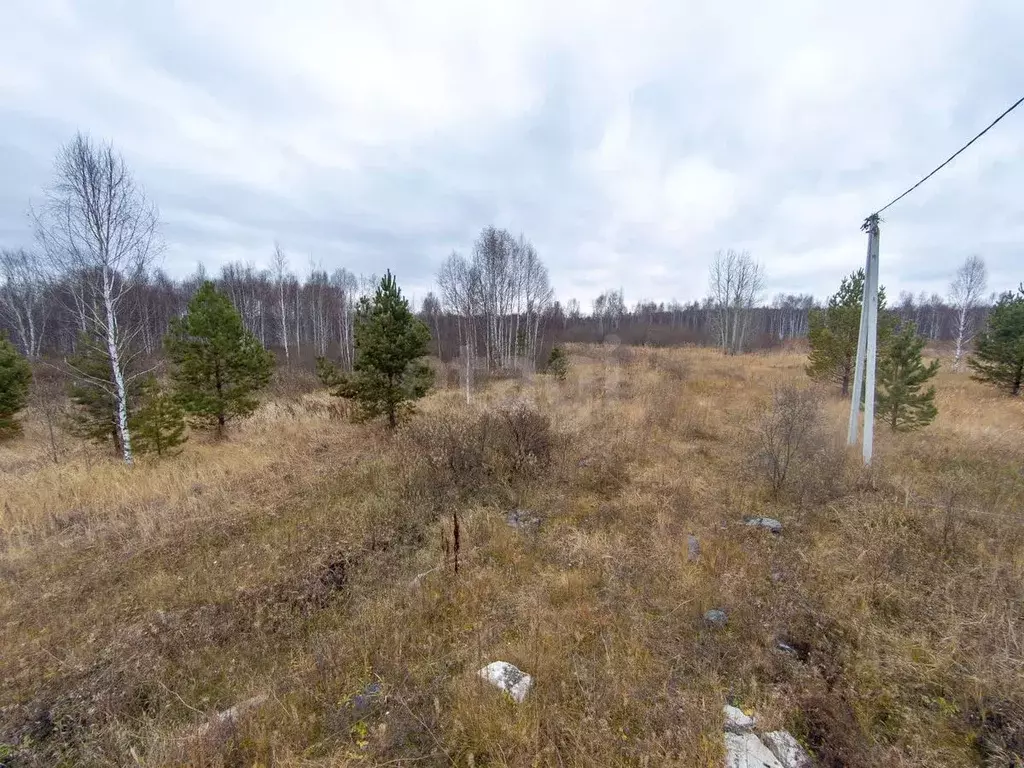 Участок в Тюменская область, Нижнетавдинский муниципальный округ, ... - Фото 0