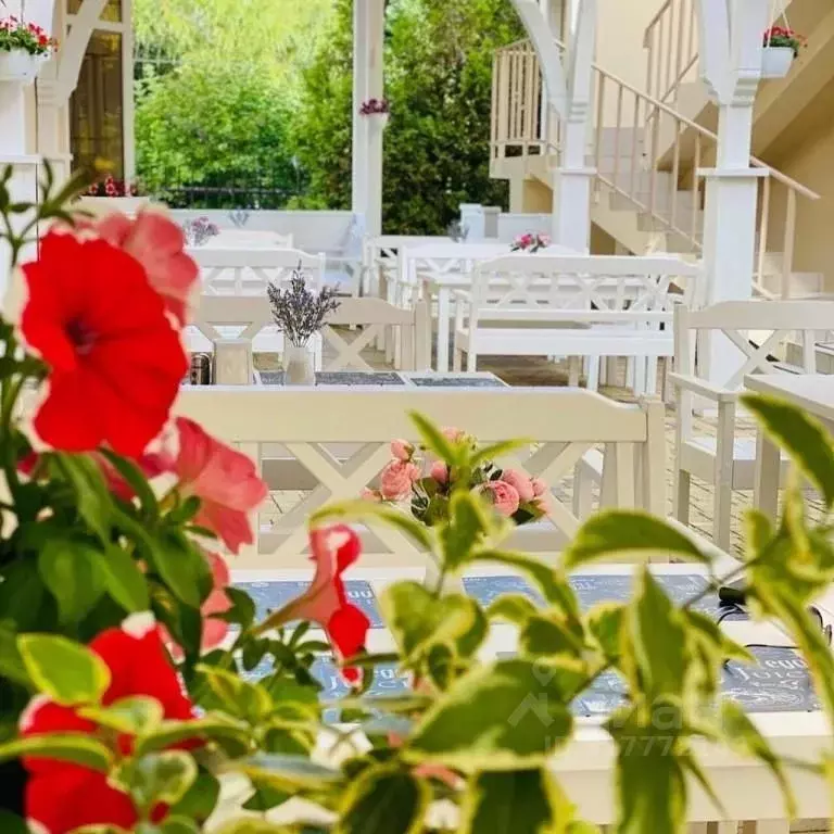 Комната Краснодарский край, Анапа проезд Джеметинский, 19 (10.0 м) - Фото 1