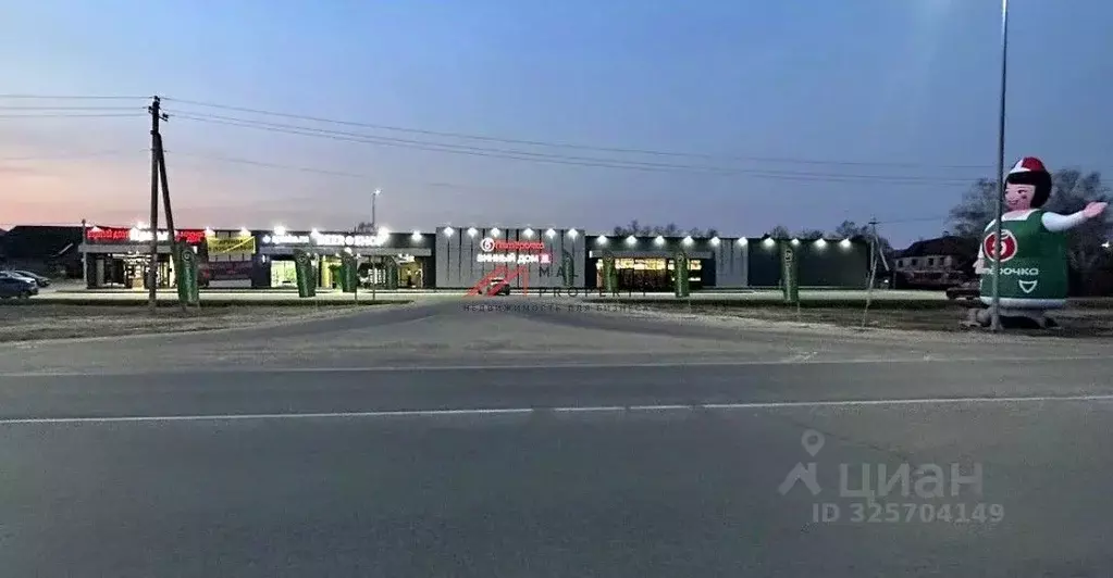 Торговая площадь в Московская область, Истра муниципальный округ, д. ... - Фото 1