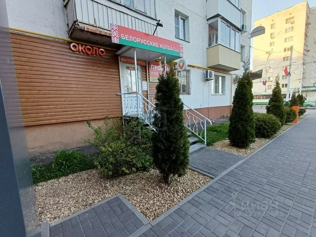 Торговая площадь в Тамбовская область, Тамбов Советская ул., 2 (24 м) - Фото 1