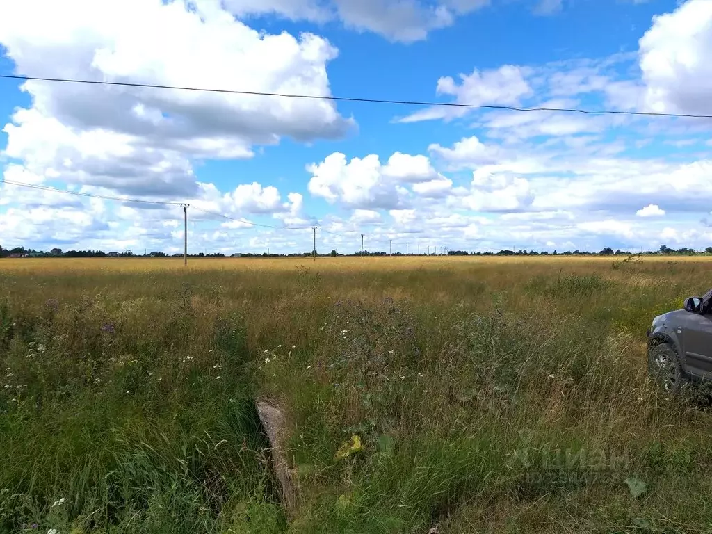 Участок в Новгородская область, Старорусский район, Наговское с/пос, ... - Фото 1