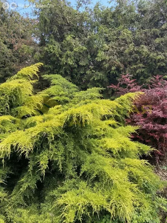 Дом в посёлок Веселовка, Босфорская улица (450 м) - Фото 2