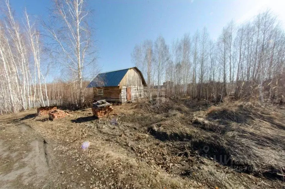 Участок в Курганская область, Шадринск пос. Звездный, ул. Васильковая ... - Фото 0