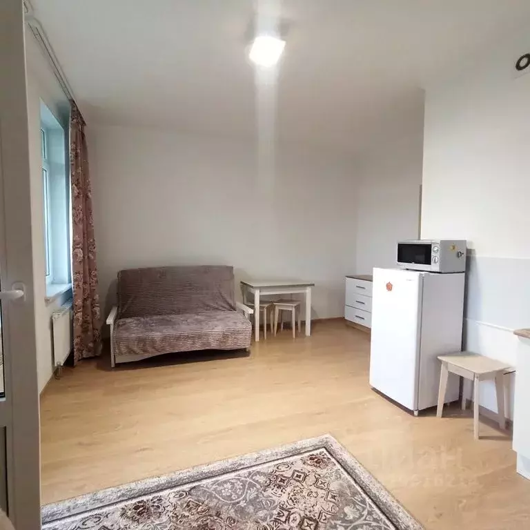 Студия Санкт-Петербург аллея Арцеуловская, 23к1 (24.0 м) - Фото 2